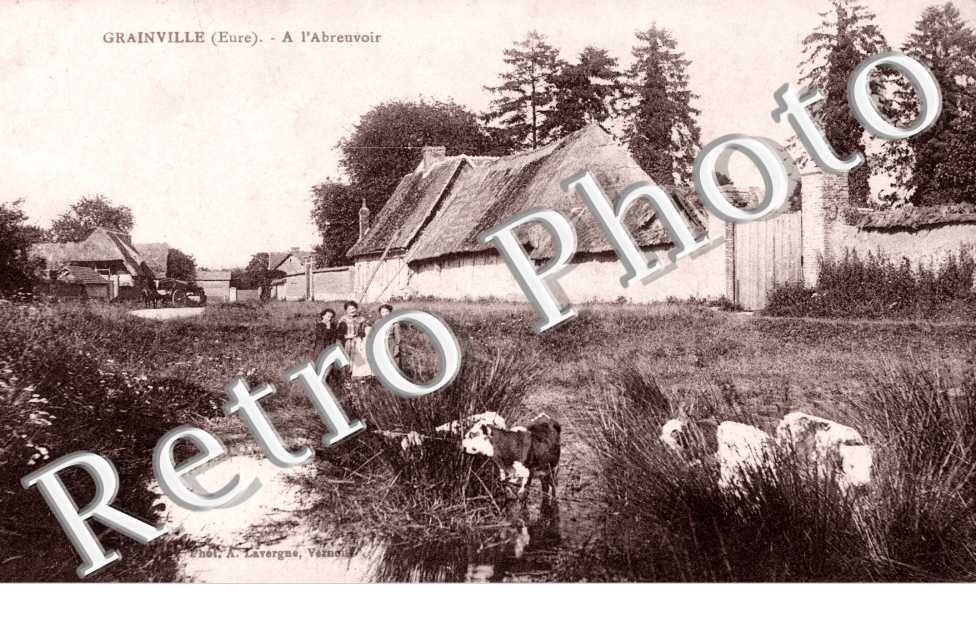 A l'abreuvoir