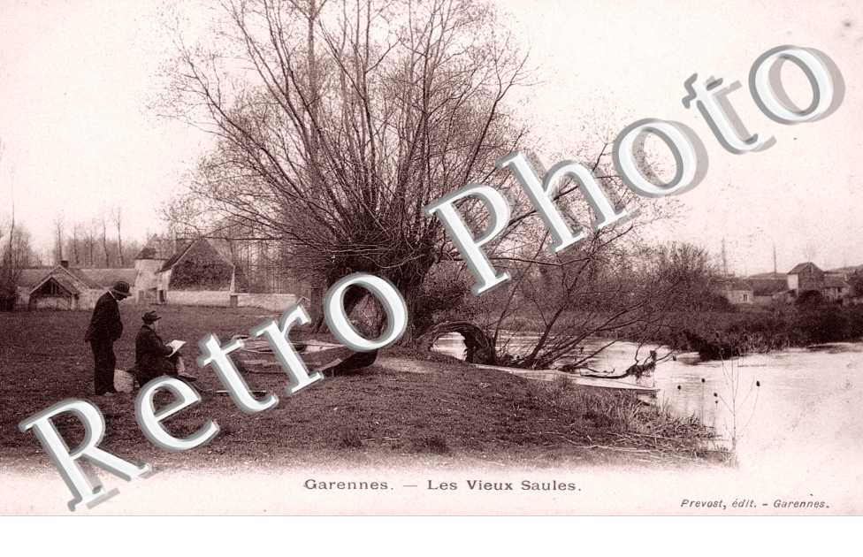 Les vieux Saules