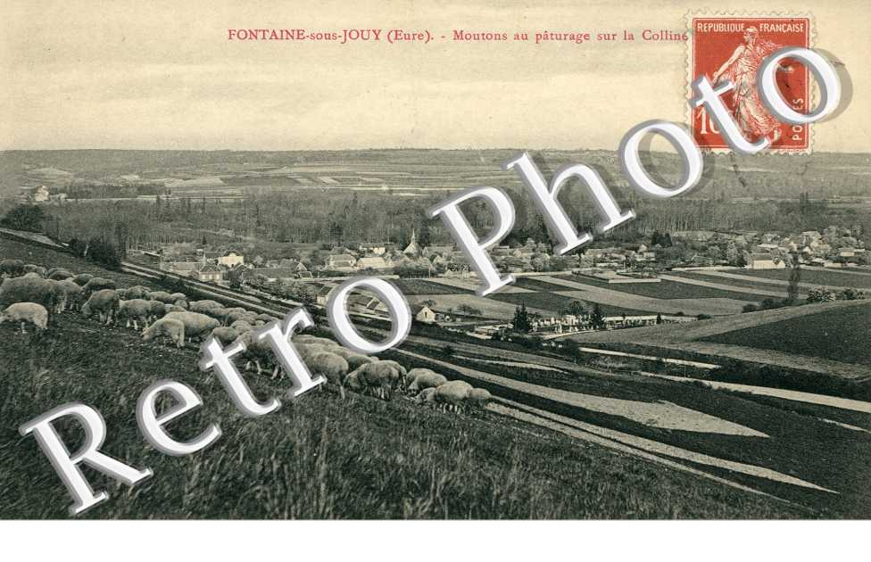Moutons au paturage sur la colline