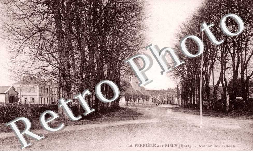 Avenue des tilleuls