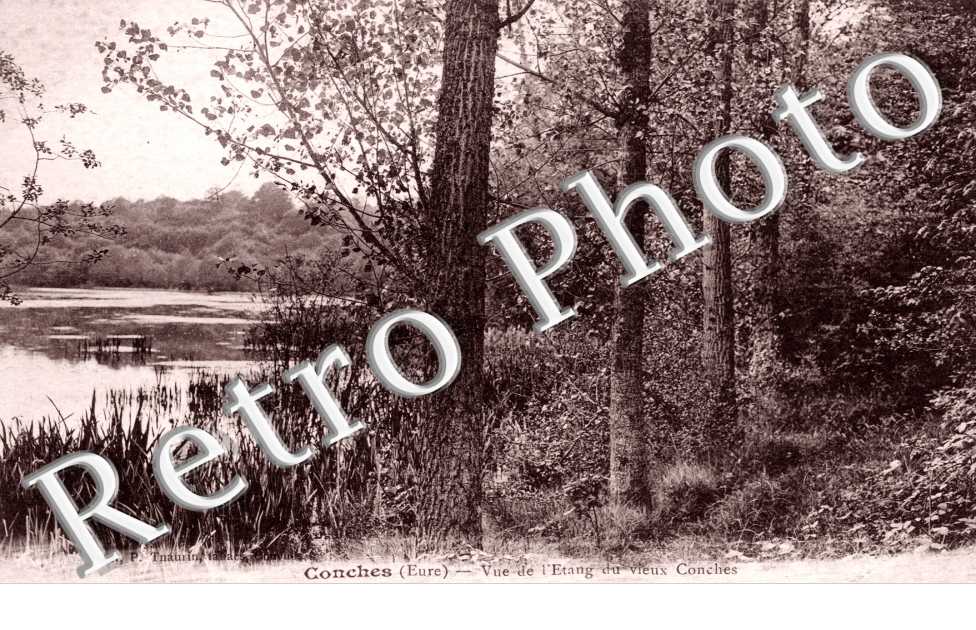 Vue de l'Etang du Vieux Conches