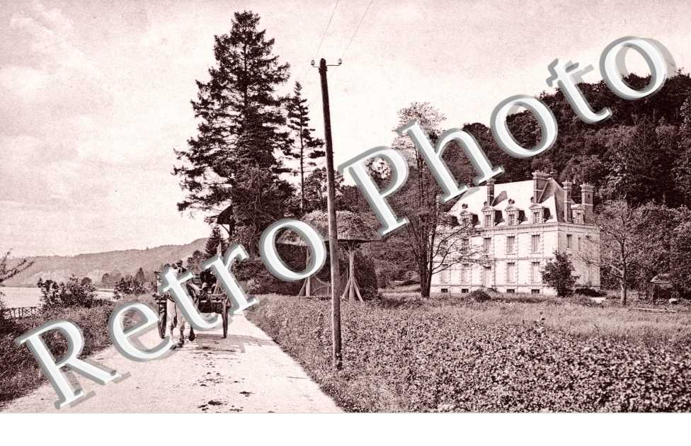 chateau de la Ronce