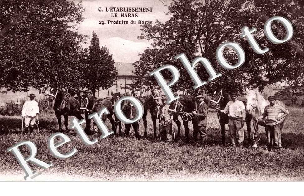L'etablissement le Haras - produits du haras