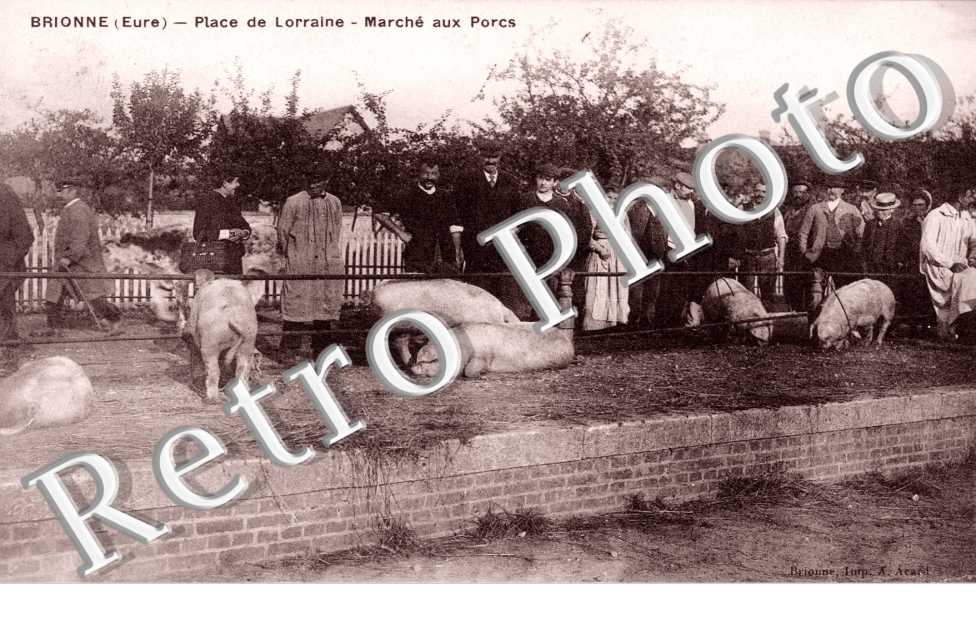 Place lorraine - Marche aux porcs