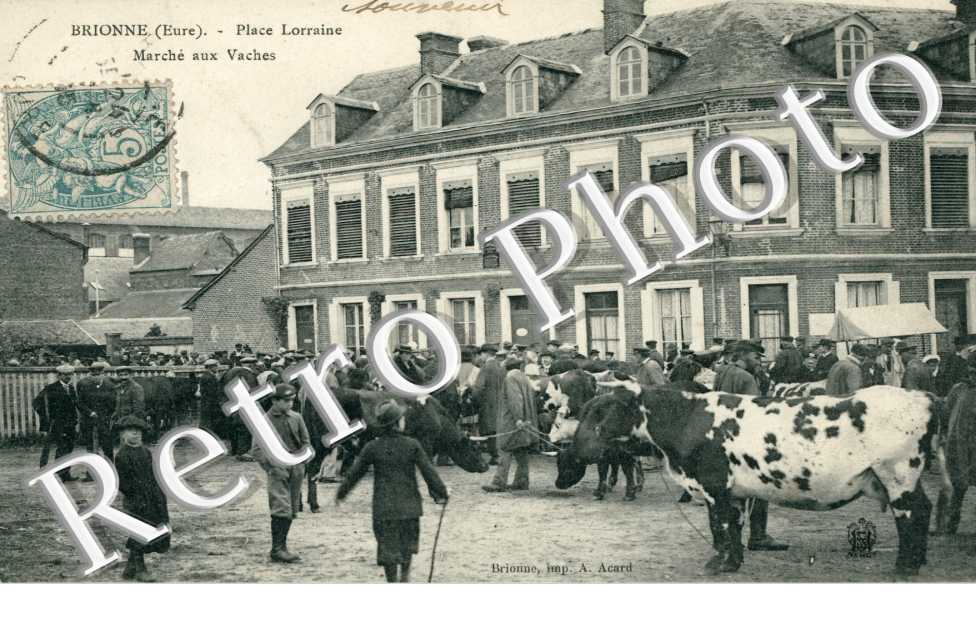 Place lorraine - Marche aux vaches