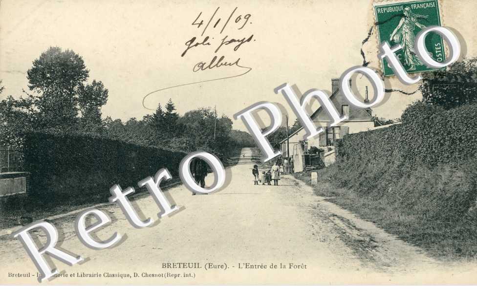 l'entree de la foret