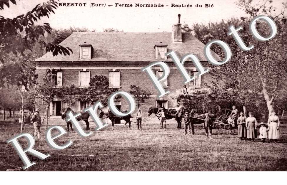 Ferme normande - rentree du Ble