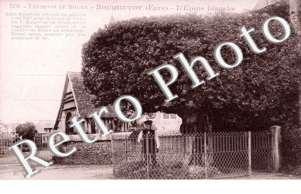 L'Epine Blanche