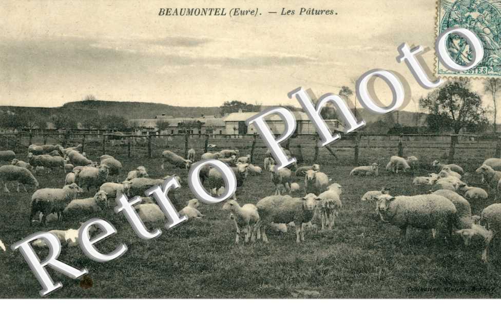 Les patures