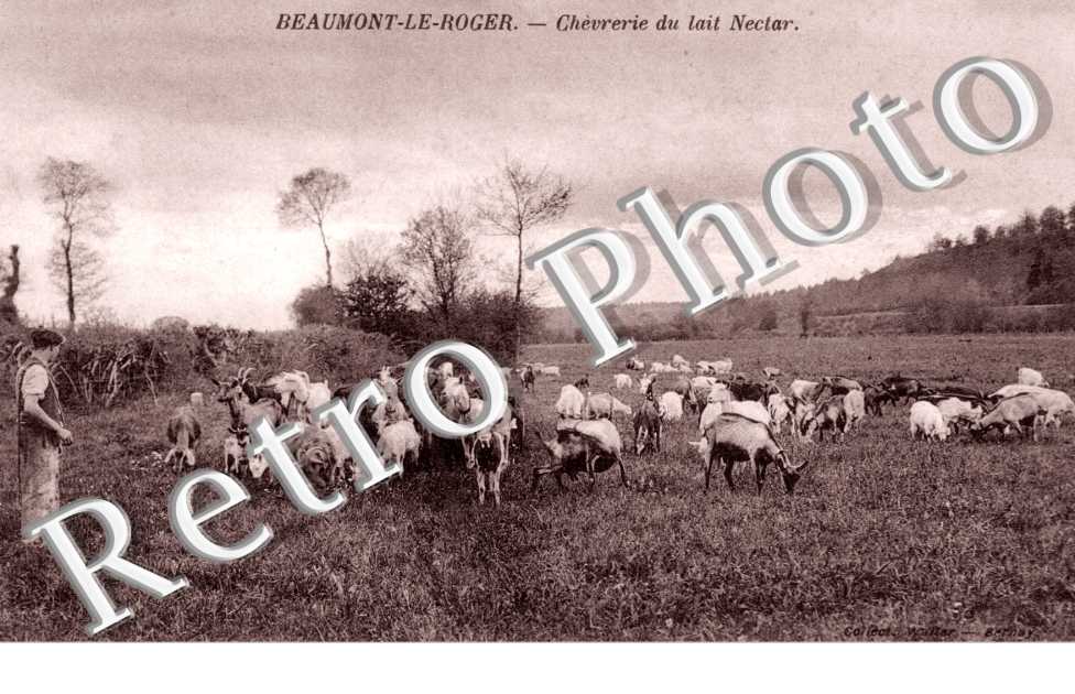 Chevrerie du Lait Nectar