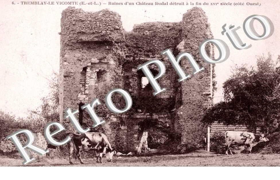 Ruines d'un chateau feodal detruit a la fin du XVIe s