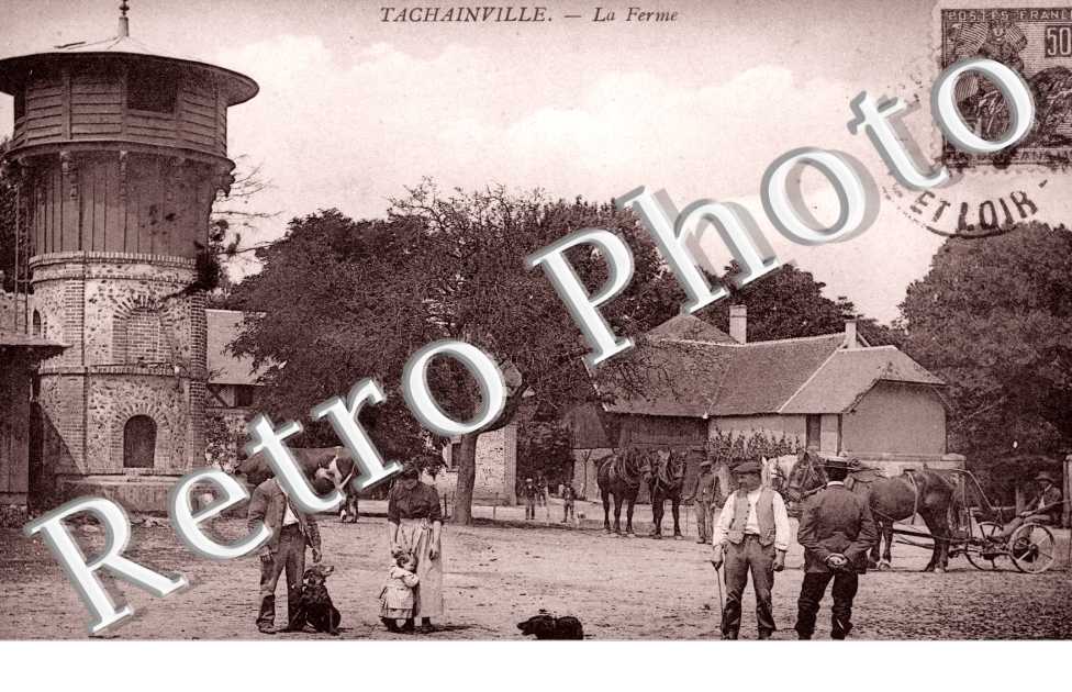 Tachanville - La ferme