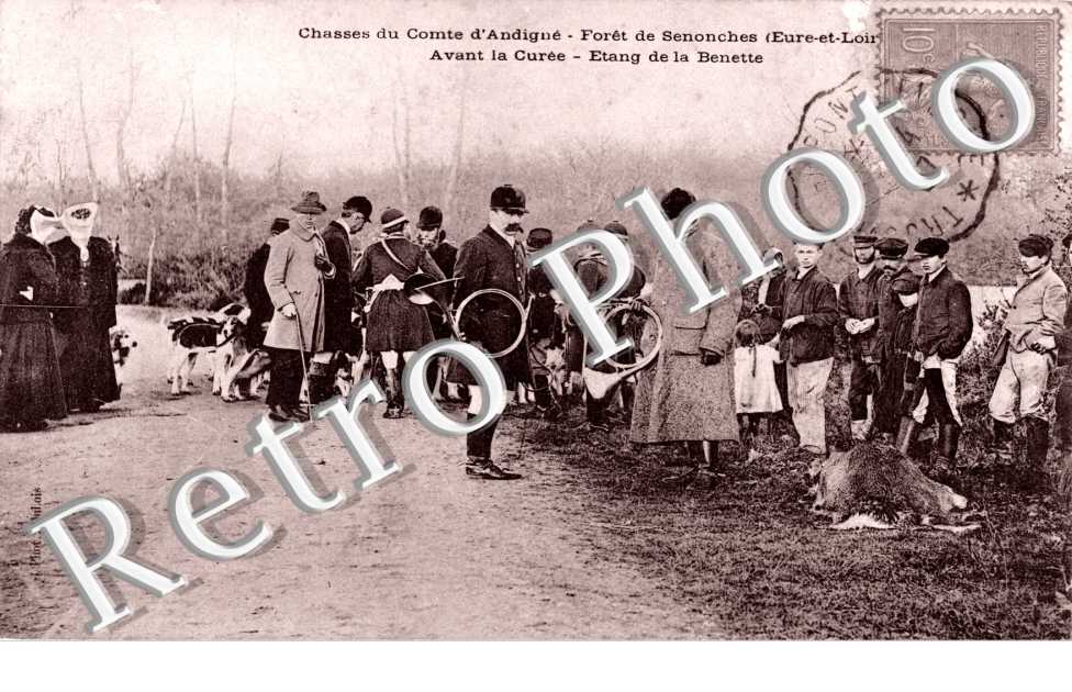 Chasse du comte d'Andigue