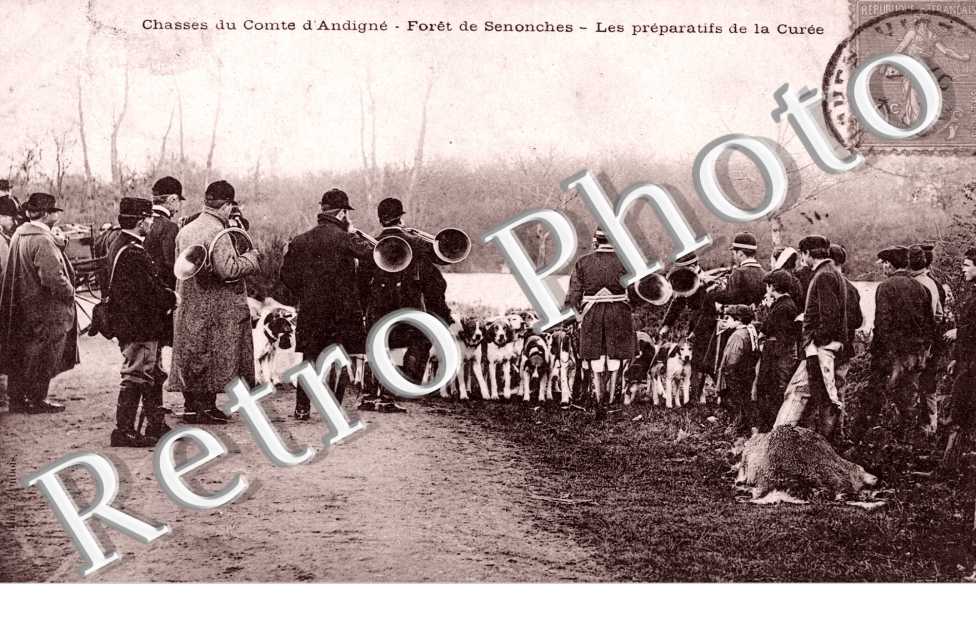 Foret - preparatifs de la curee