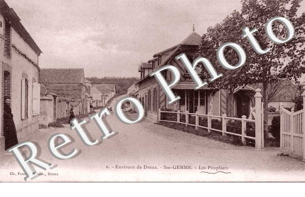 Les peupliers