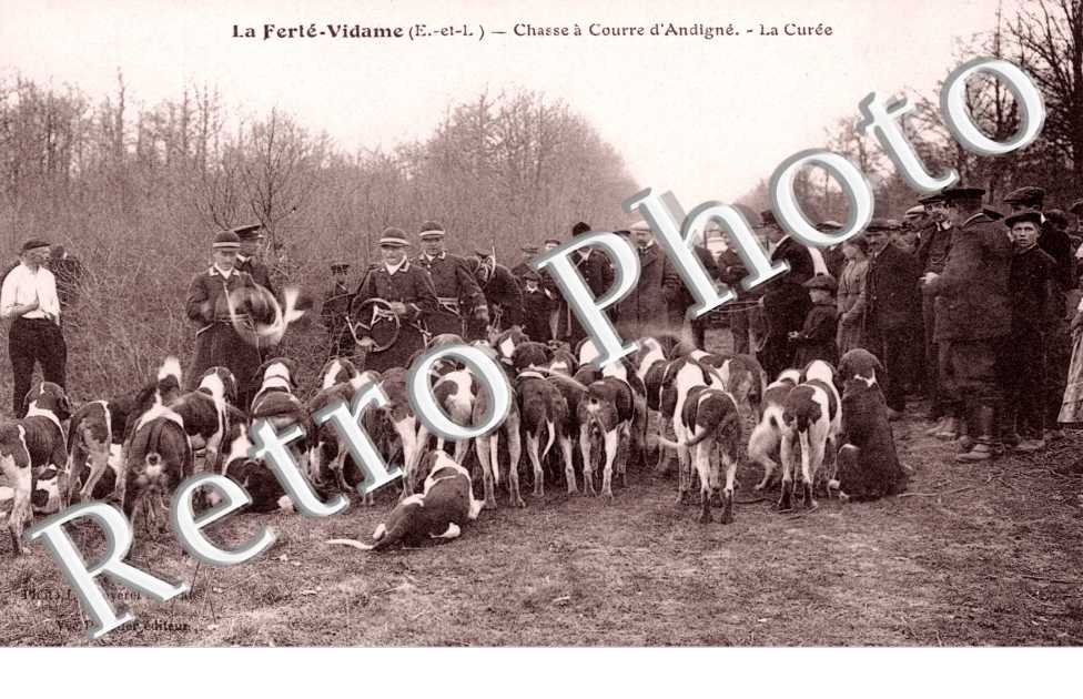 Chasse a Courre d'Andigne, la Curee