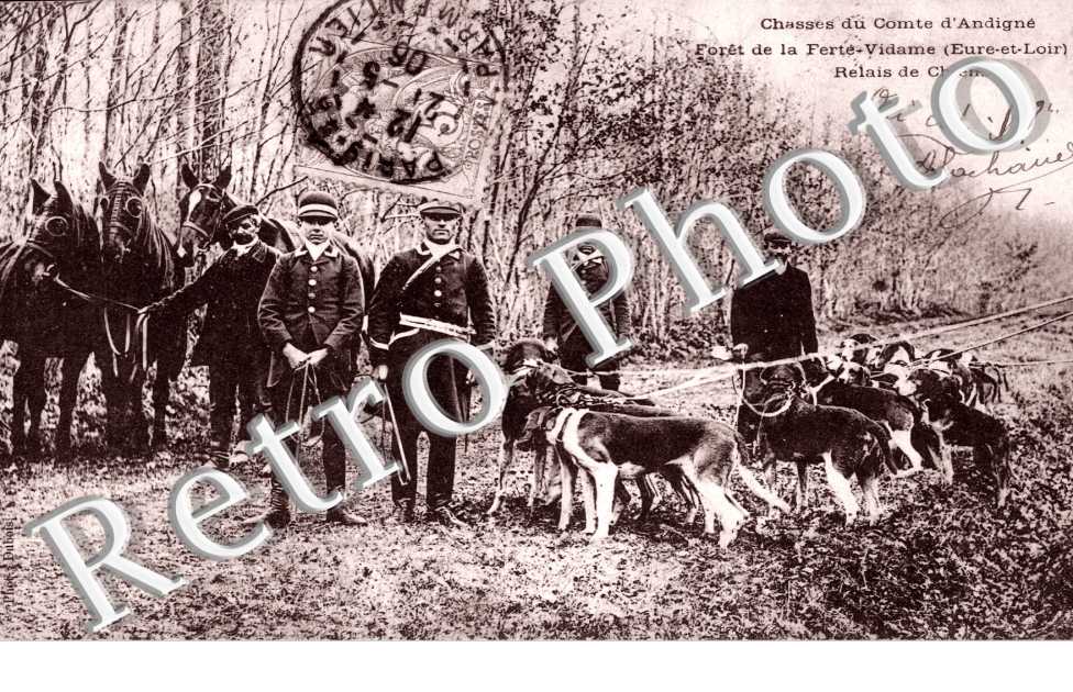 Chasse du comte d'Andigne - Relais de chiens