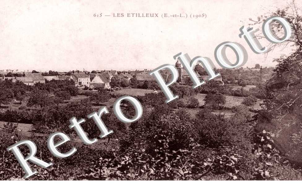 (vue generale)