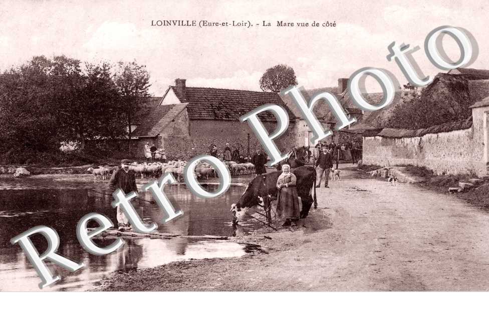 La mare - Loinville