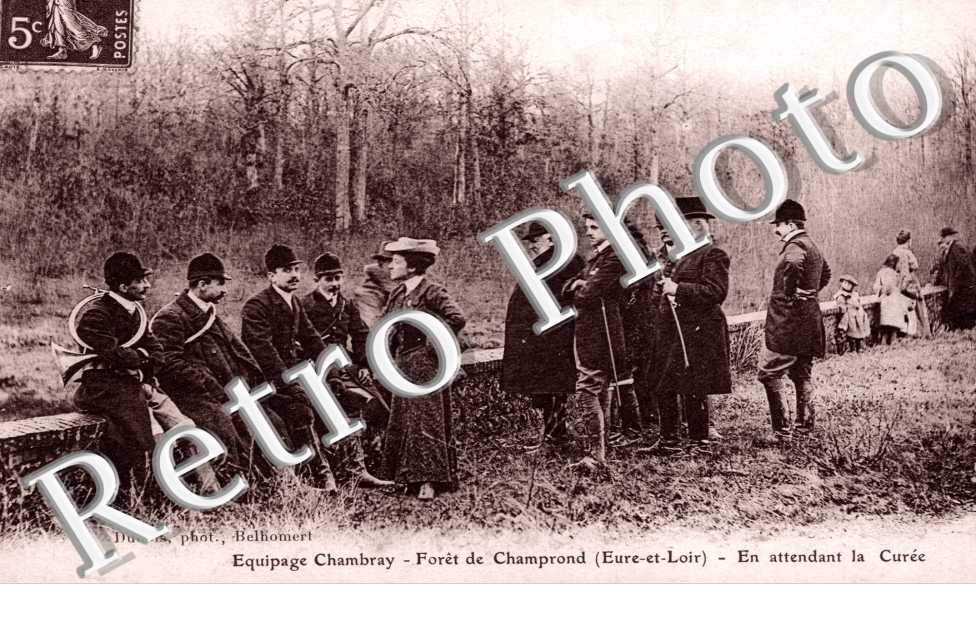 equipage Chambray - Foret - en attendant la curee