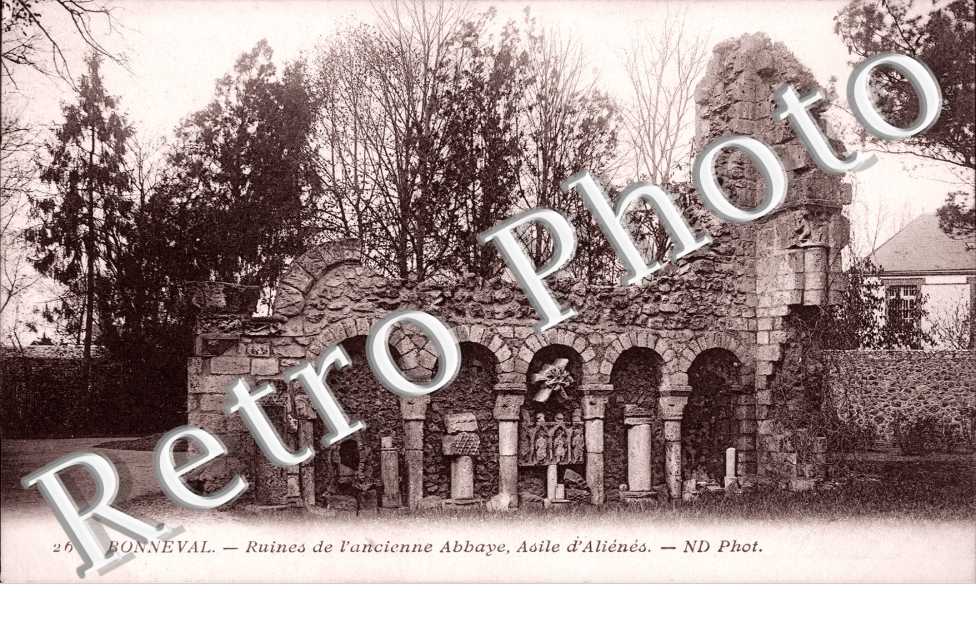 Ruines de l'ancienne Abbaye, Asile d'Alienes