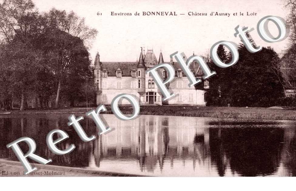 Chateau d'Aunay et le Loir