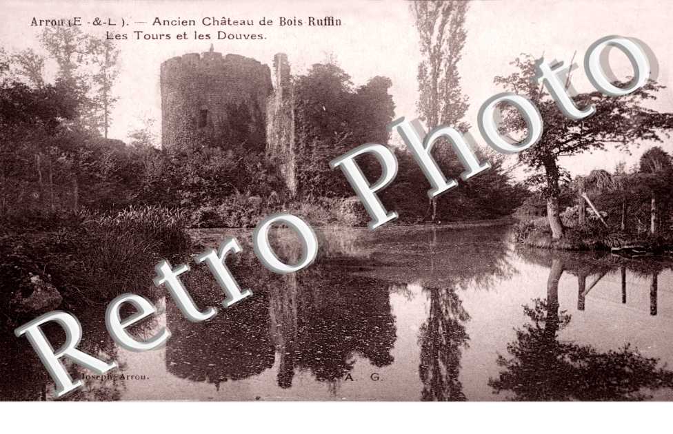 ancien chateau de Bois Ruffin - les tours et les douves