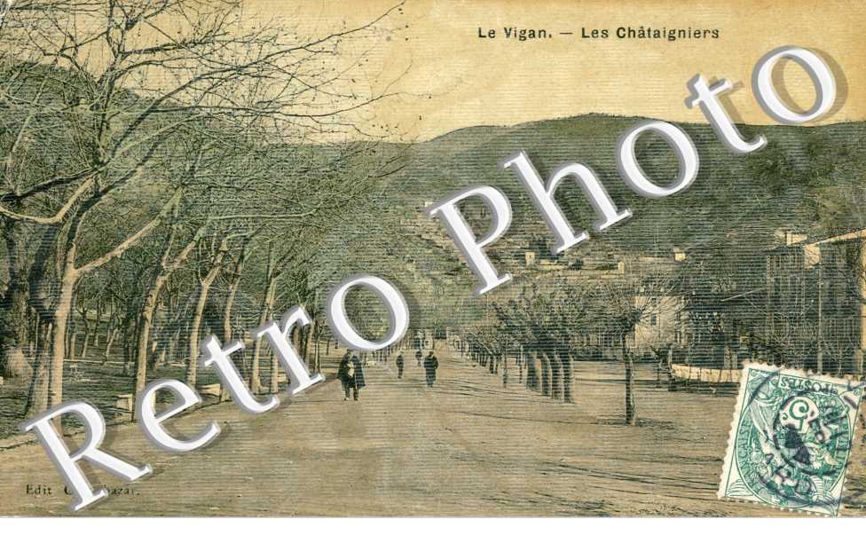 les chataigniers (couleur)