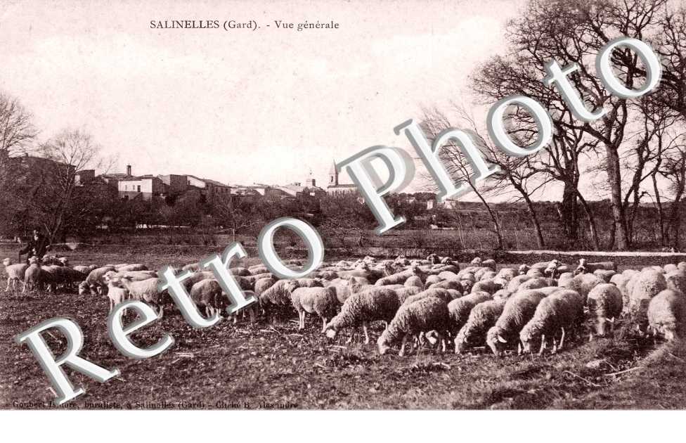 Vue generale