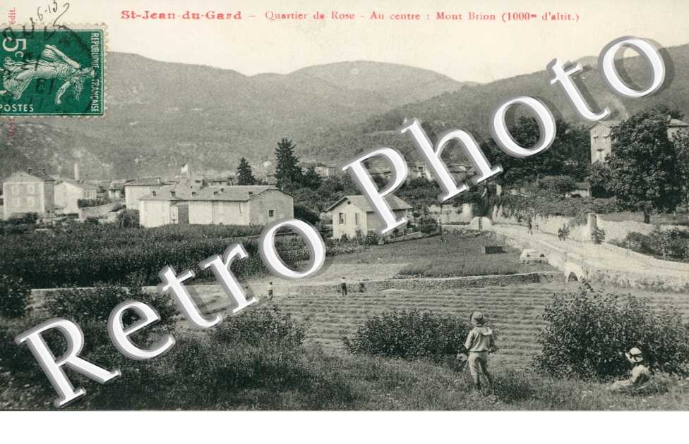 Quartier de rose   - au centre : mont Brion