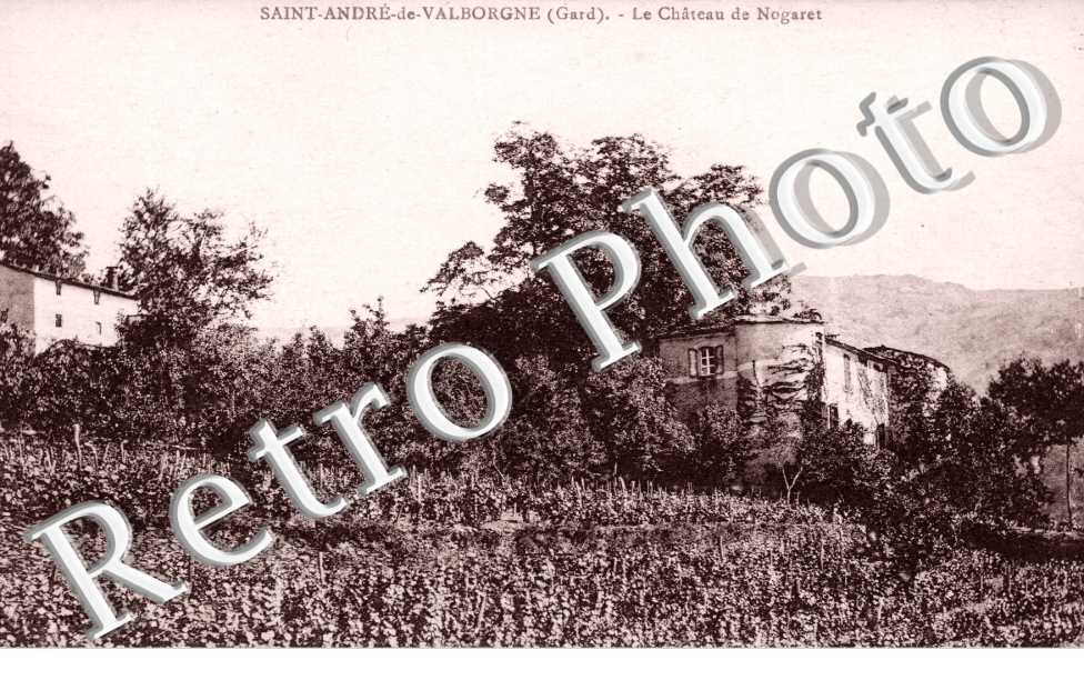 Le chateau de Nogaret
