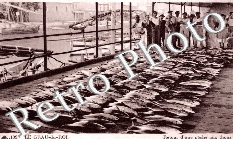 Retour d'une peche aux thons