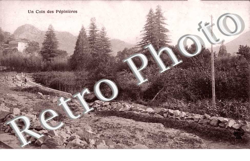Un coin des pepinieres