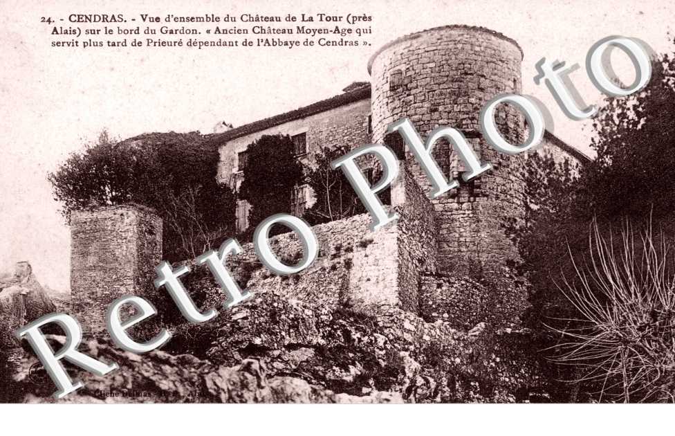 Vue d'ensemble du chateau de la Tour