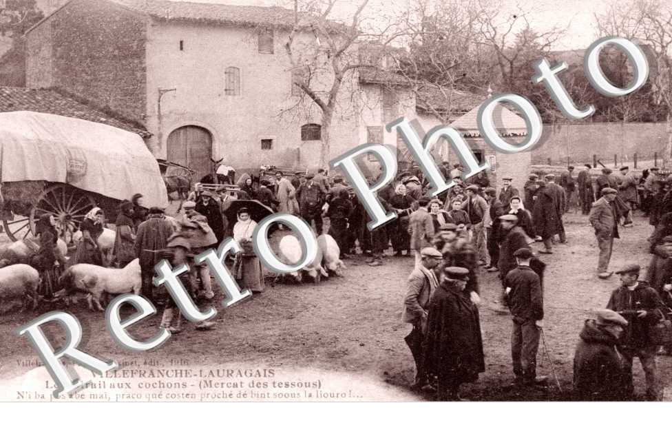 le foirail aux cochons