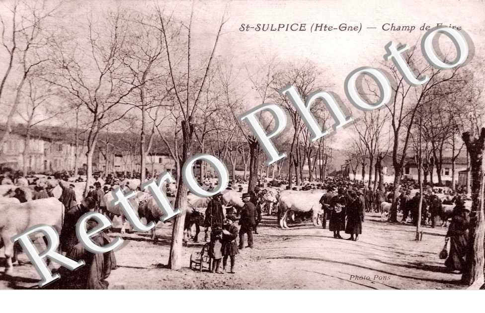 Champ de foire