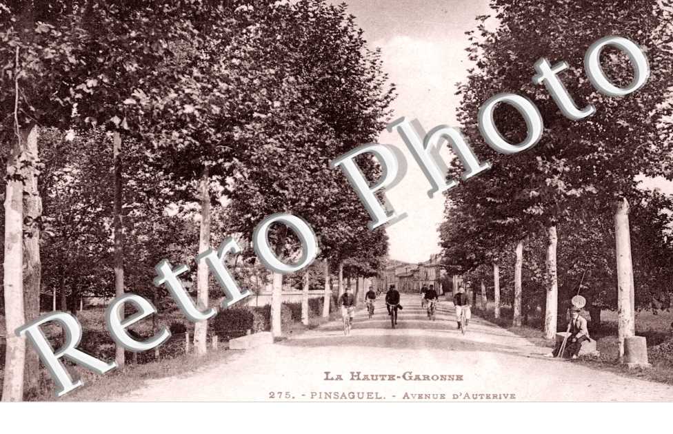 Avenue d'Auterive