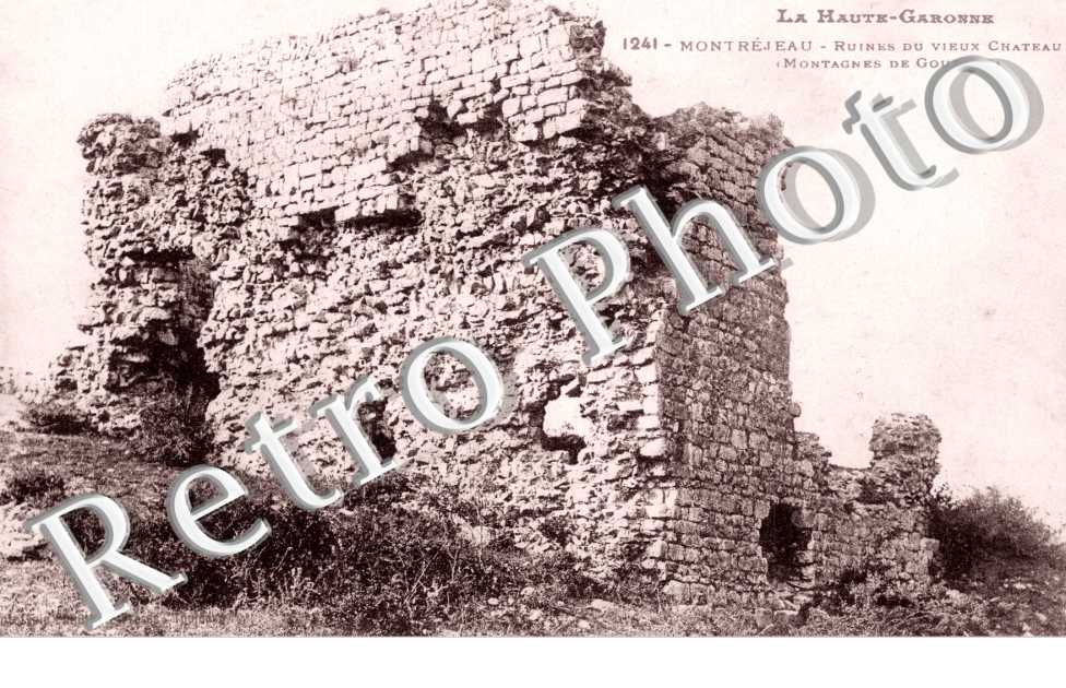 ruines du vieux chateau