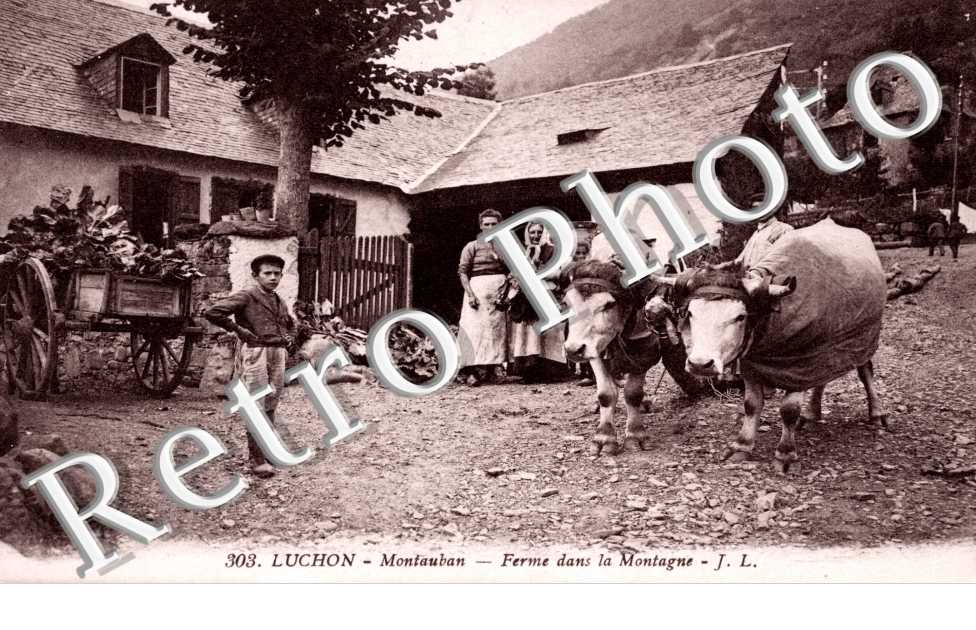 ferme dans la montagne