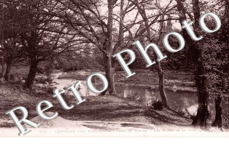 Les Bords de la Save