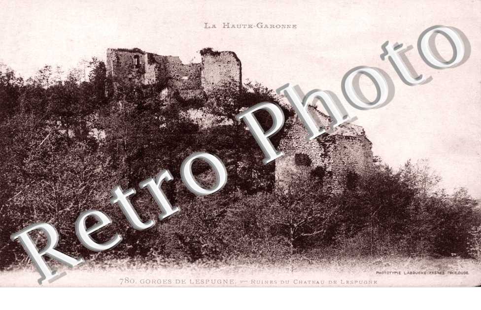 Les Ruines du Chateau