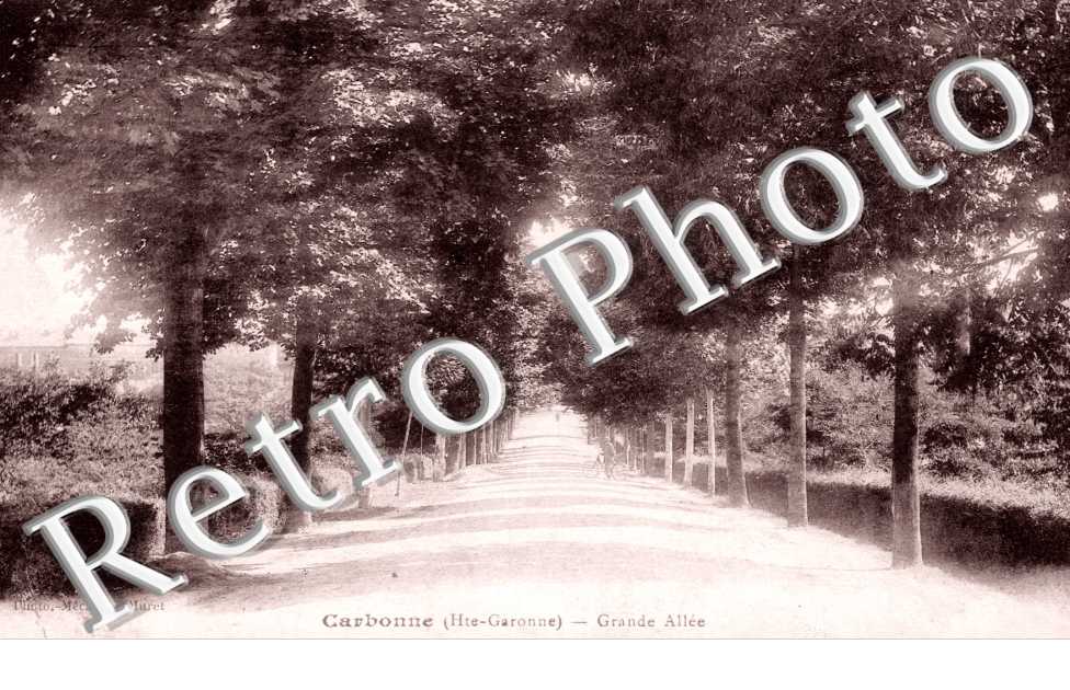 grande allee