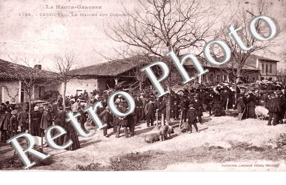 le marche aux cochons