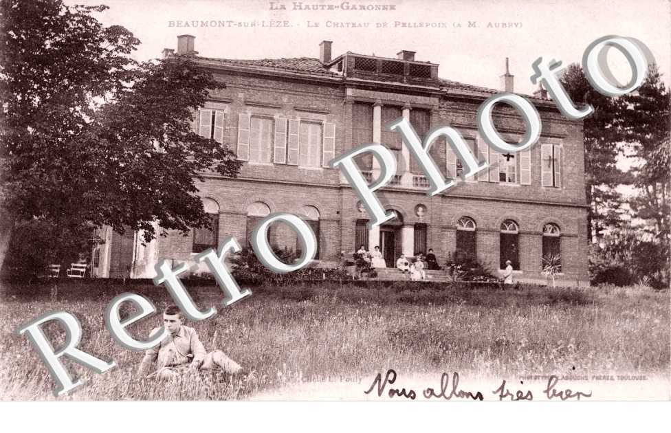 Le Chateau de Pellepoix