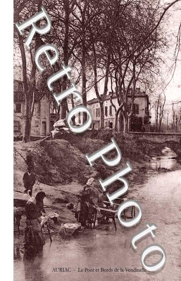 Le pont et bords de la vendinelle
