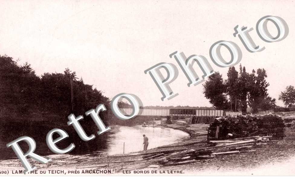 Bords de la Leyre
