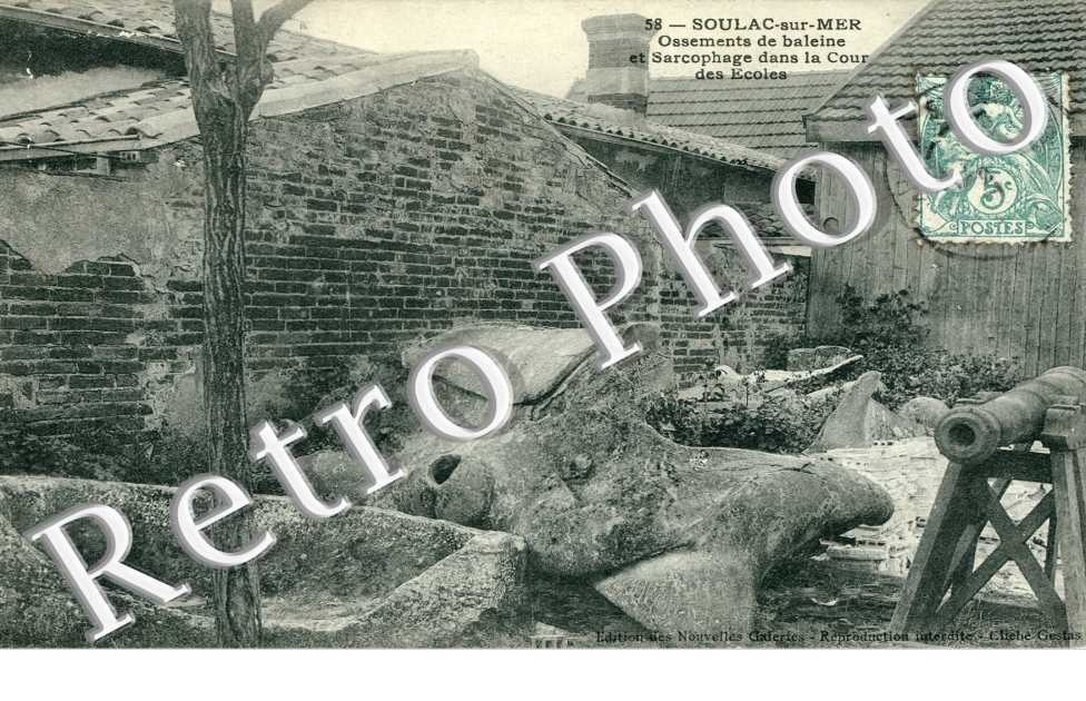 Ossements de baleine et Sarcophage dans la Cour des Ecoles