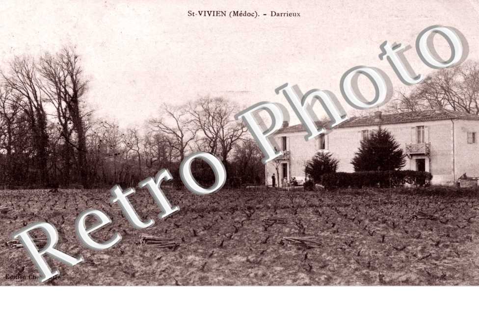 Darrieux