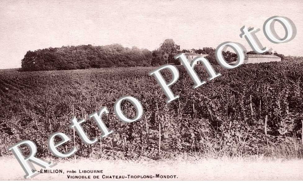 Vignoble de Chateau Troplong Mondot