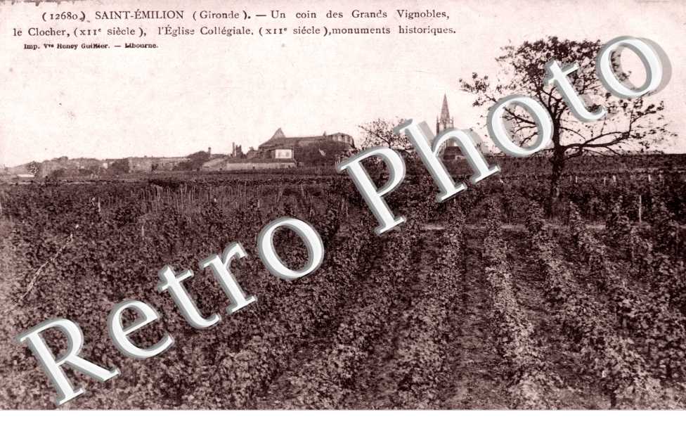 un coin des grands vignobles